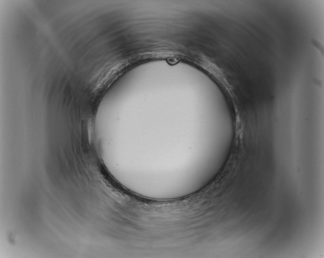 X0000100780013200807101827