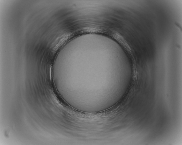 X0000100780014200807101827
