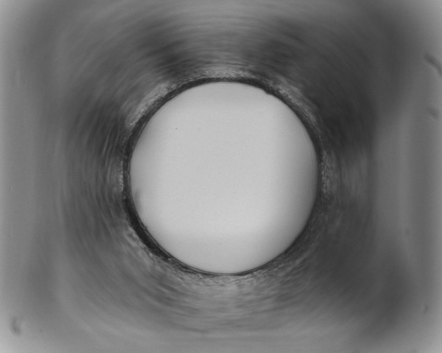 X0000100780015200807101827
