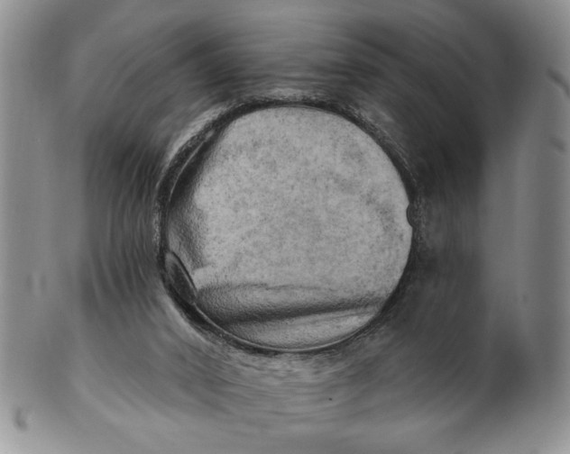 X0000100780016200807101827