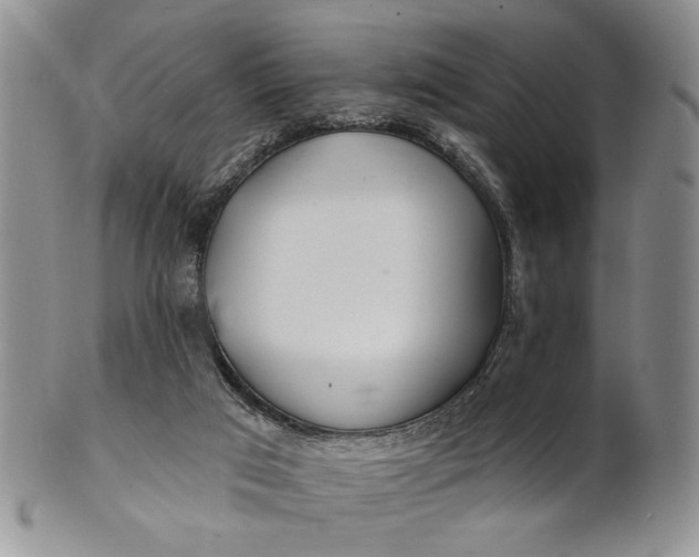 X0000100780017200807101827
