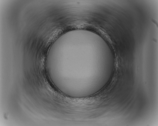 X0000100780018200807101827