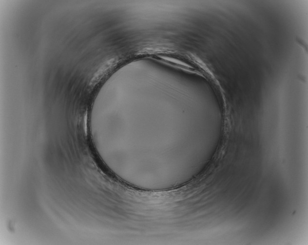 X0000100780019200807101827