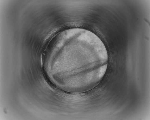 X0000100780020200807101827