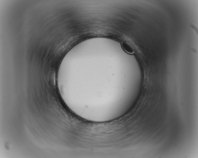 X0000100780021200807101827