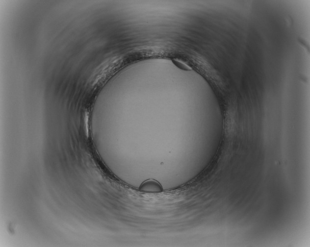 X0000100780022200807101827