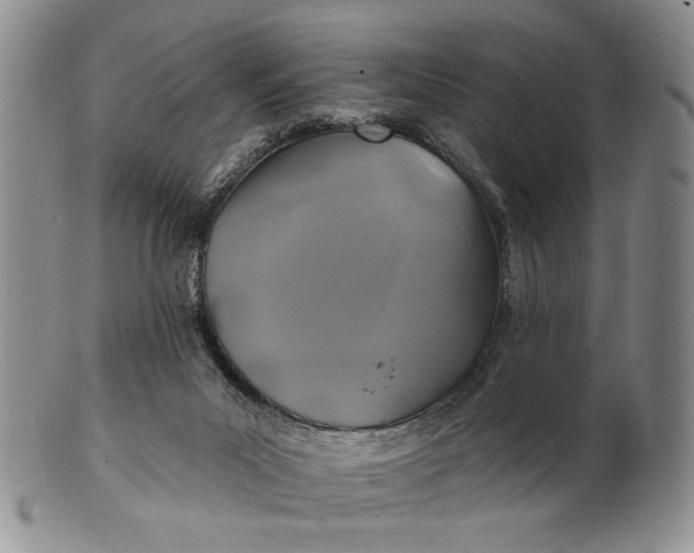 X0000100780023200807101827