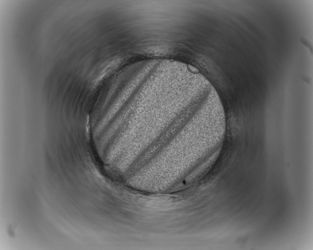X0000100780024200807101827