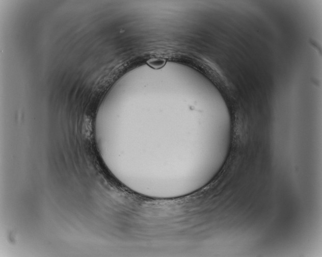 X0000100780025200807101827