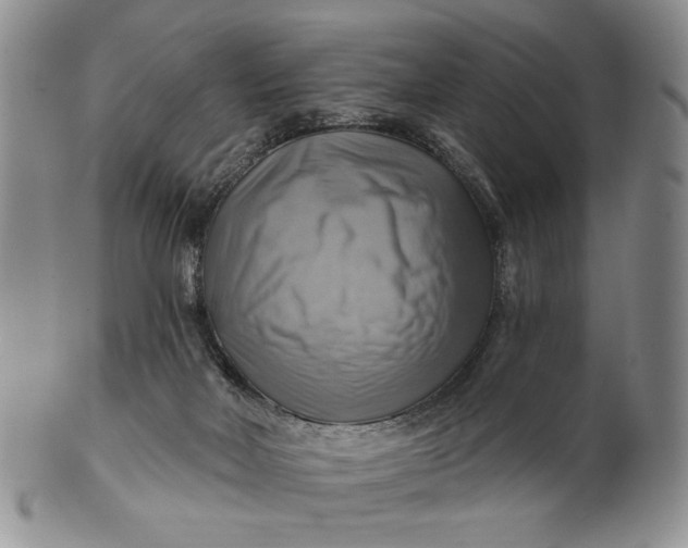 X0000100780026200807101827
