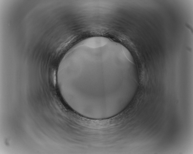 X0000100780027200807101827