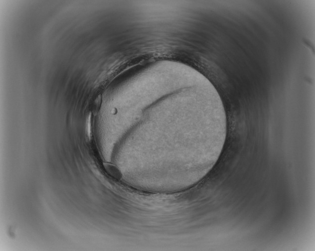 X0000100780028200807101827