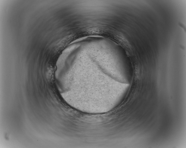 X0000100780029200807101827