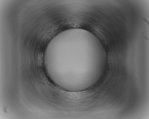 X0000100780030200807101827