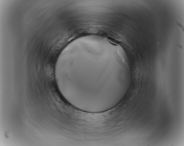 X0000100780031200807101827