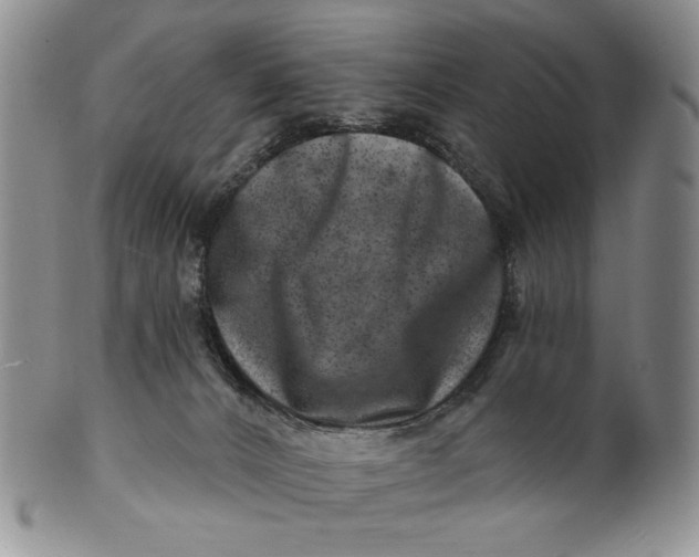 X0000100780032200807101827