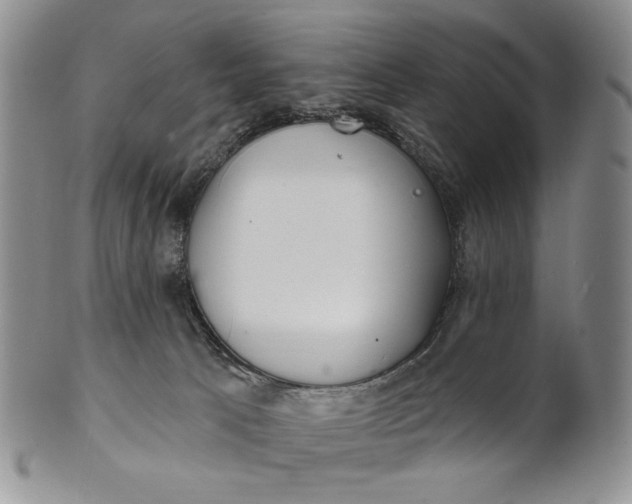 X0000100780033200807101827