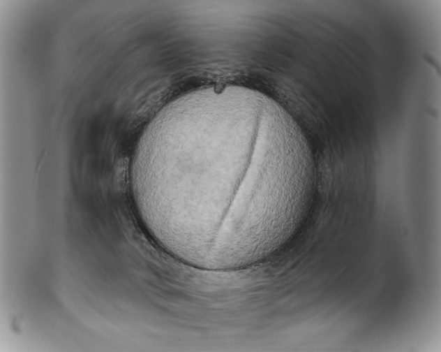 X0000100780034200807101827