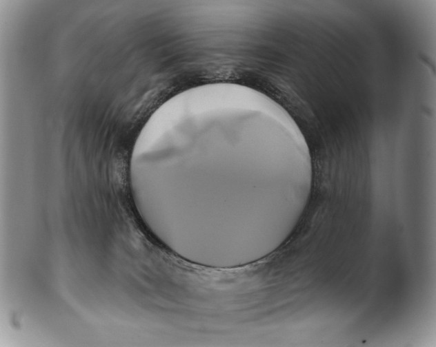 X0000100780035200807101827