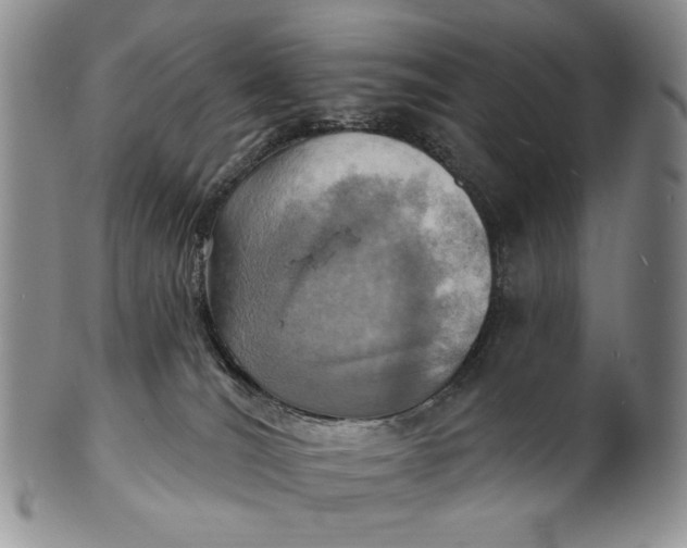 X0000100780036200807101827