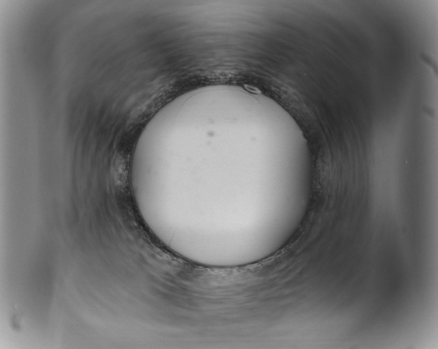 X0000100780037200807101827