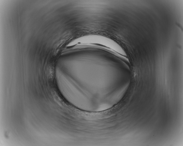 X0000100780039200807101827