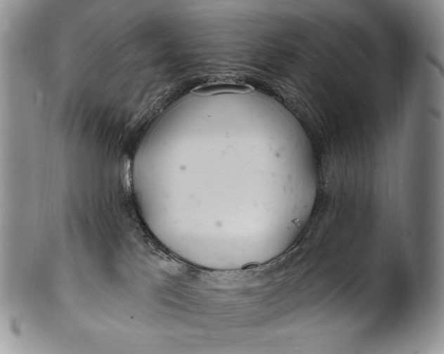X0000100780041200807101827