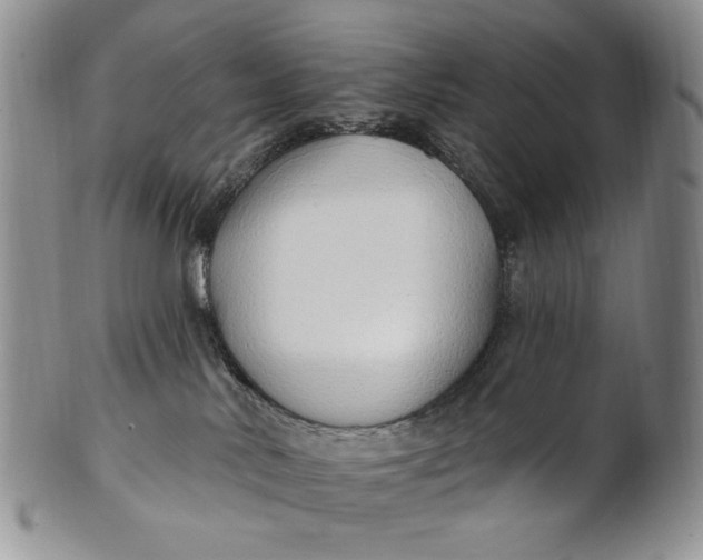 X0000100780042200807101827