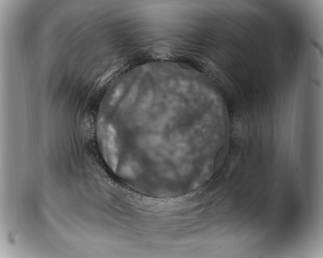 X0000100780043200807101827