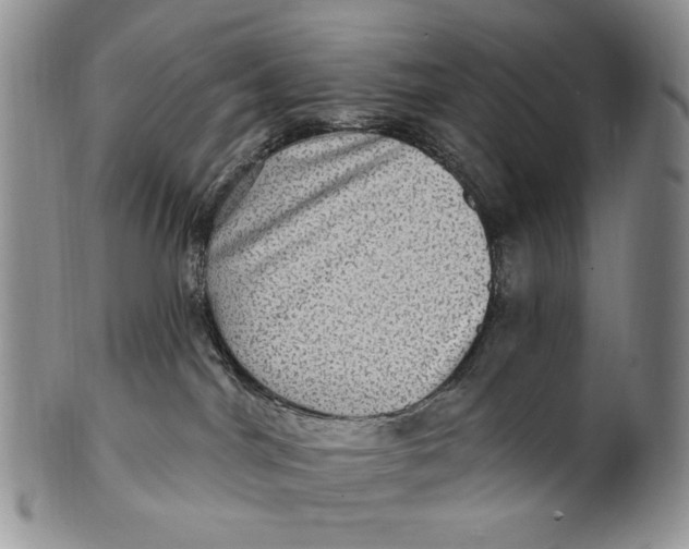 X0000100780044200807101827