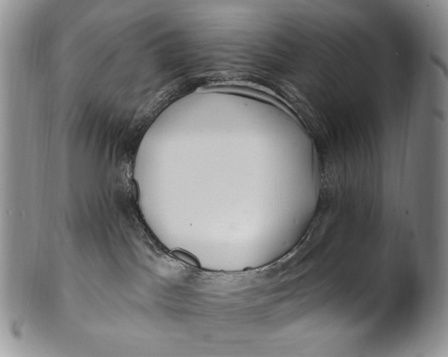 X0000100780045200807101827