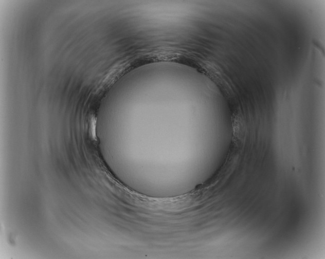 X0000100780046200807101827