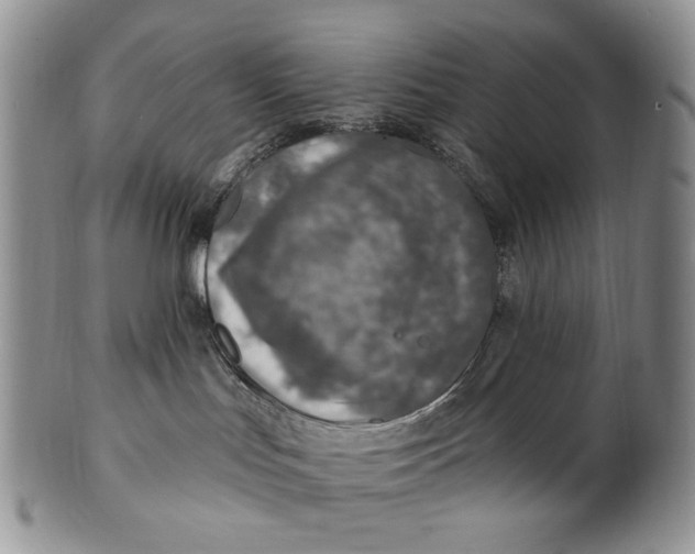X0000100780047200807101827