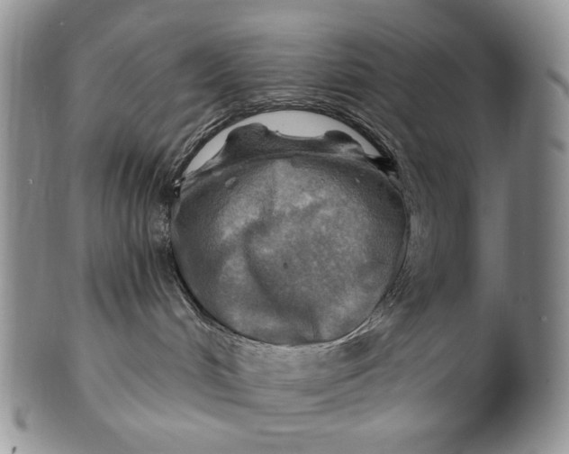 X0000100780048200807101827
