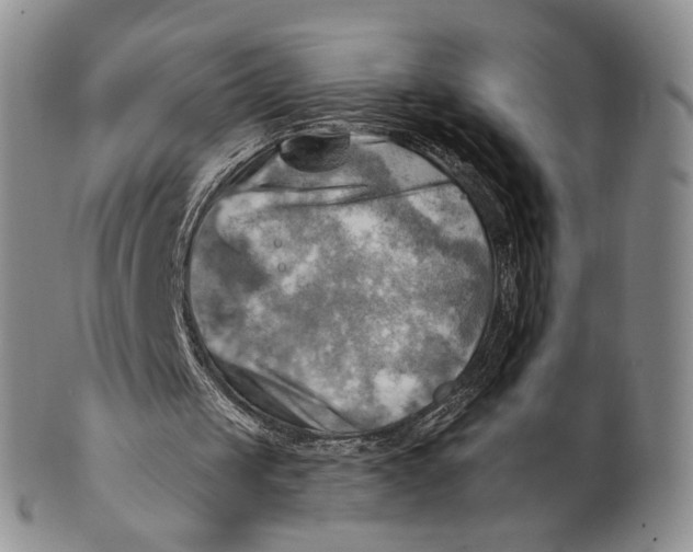 X0000100780049200807101826