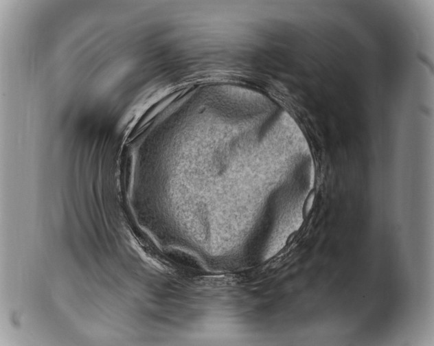 X0000100780050200807101826