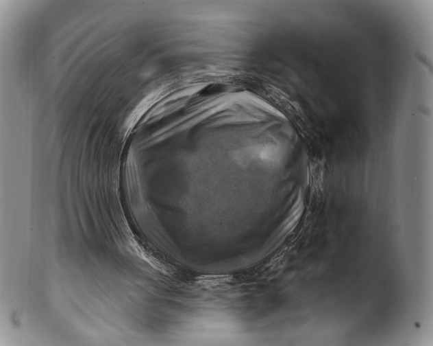 X0000100780051200807101826
