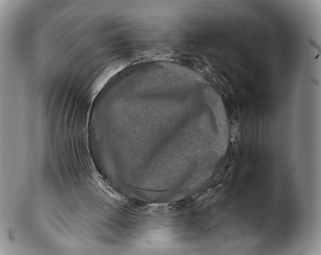 X0000100780052200807101826