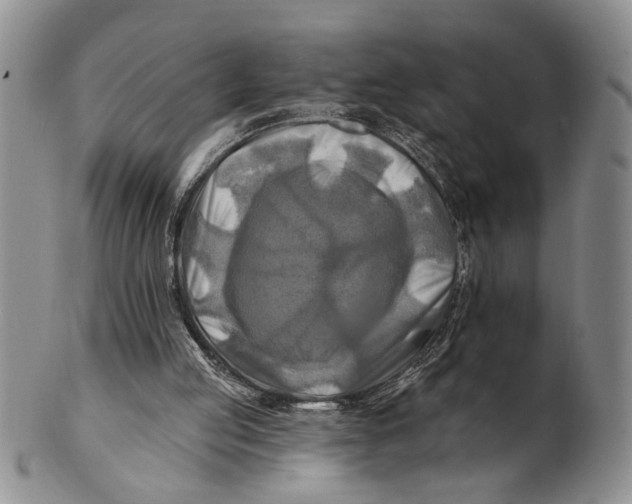X0000100780053200807101826