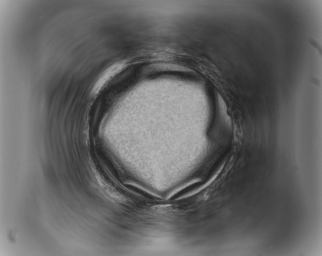X0000100780054200807101826
