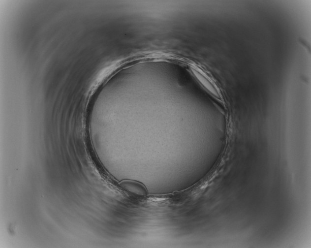 X0000100780055200807101826