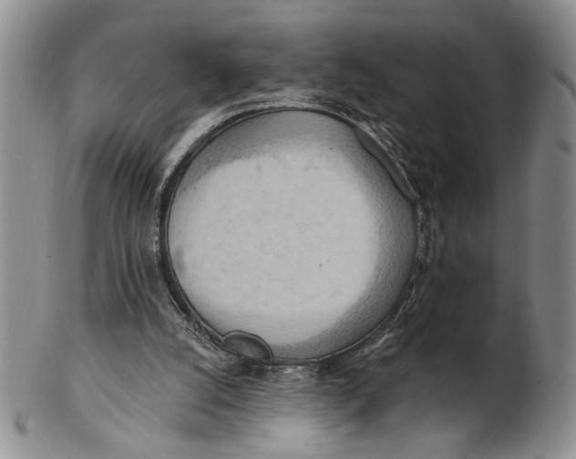 X0000100780056200807101826