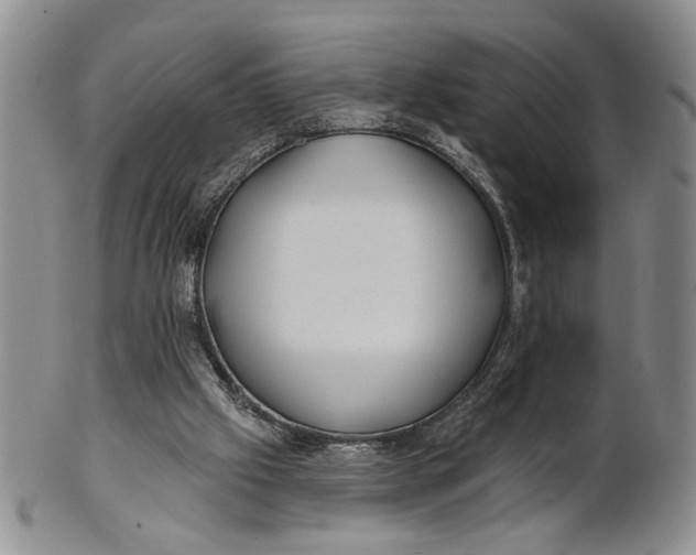 X0000100780057200807101826