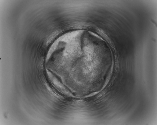 X0000100780058200807101826