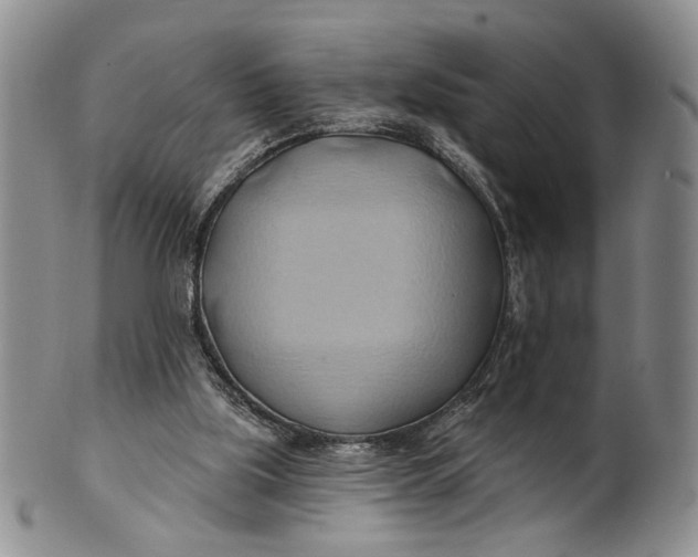 X0000100780059200807101826