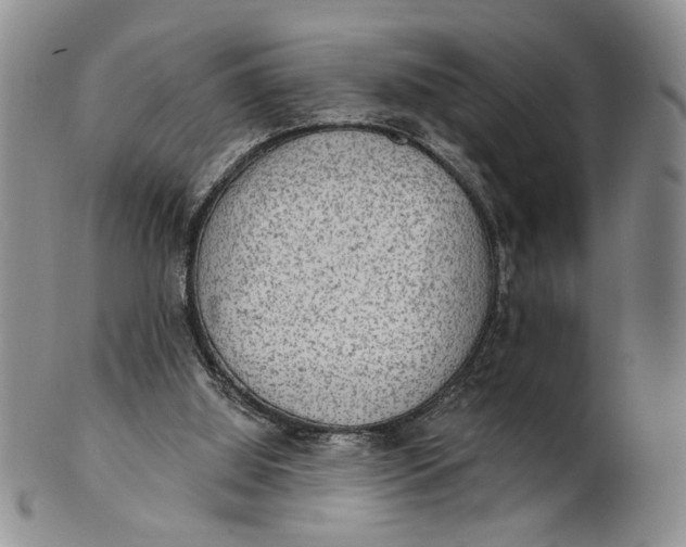 X0000100780060200807101826
