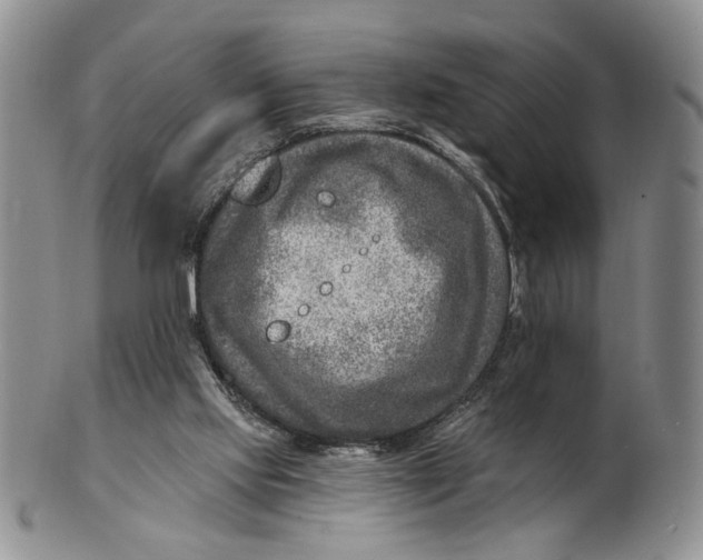X0000100780061200807101826