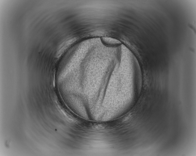 X0000100780062200807101826