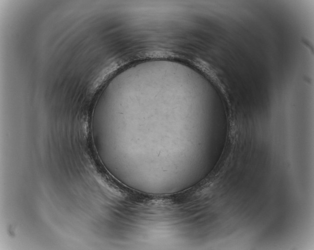 X0000100780063200807101826
