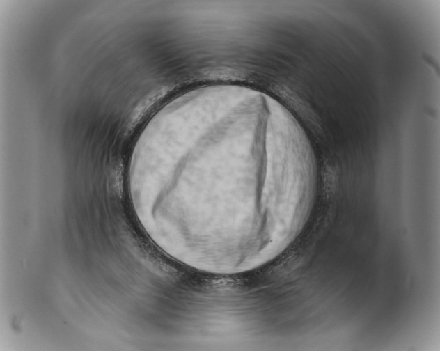 X0000100780064200807101826
